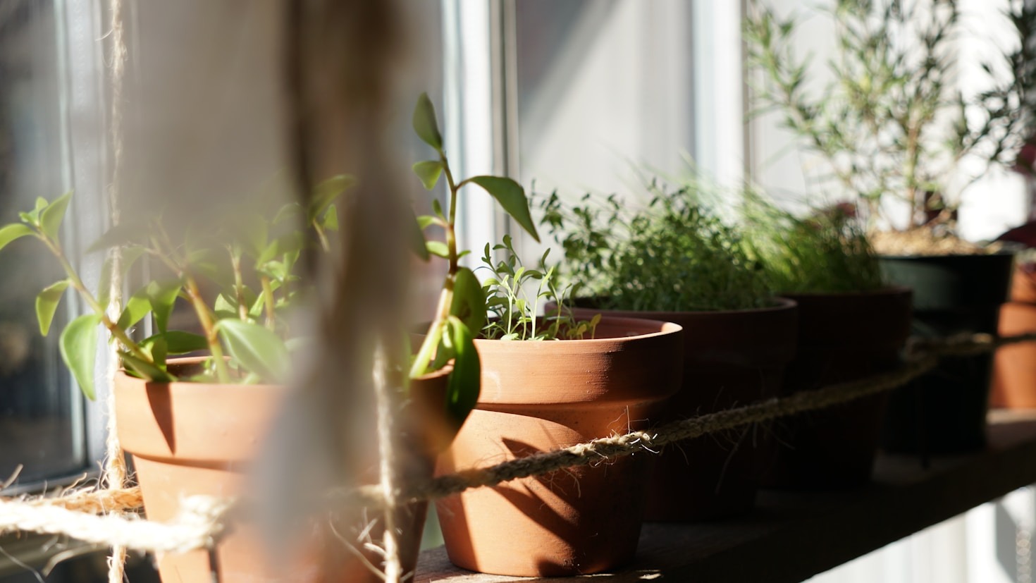 Entschleunigung durch bewusste kleine Genussmomente